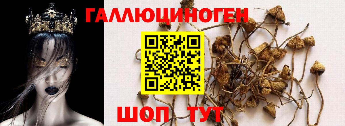 Галлюциногенные грибы прущие грибы  Вход с VPN  Михайловск  Галлюциногенные грибы мухоморы 